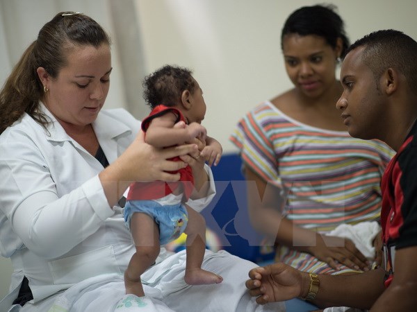 Chăm sóc em nhỏ 2 tháng tuổi mắc chứng đầu nhỏ do virus Zika tại Salvador, Brazil. (Nguồn: AFP/TTXVN)
