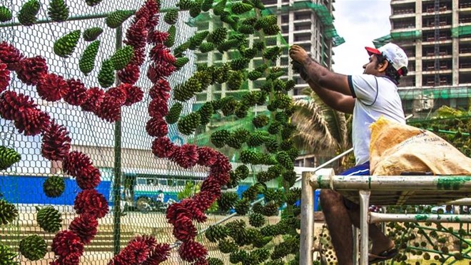 Công nhân tham gia trang trí cây thông Noel cao nhất thế giới. (Nguồn: Al Jazeera)