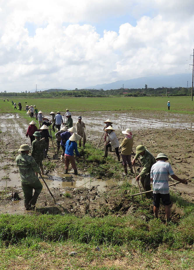 Nông dân xã Vạn Trạch khắc phục hậu quả mưa lũ.