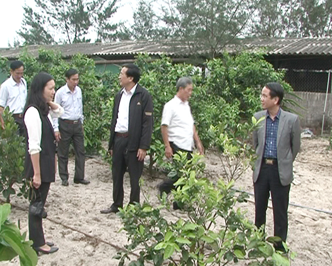 Đồng chí Phan Mạnh Hùng, Tỉnh ủy viên, Bí thư Huyện ủy Quảng Ninh thăm mô hình VietGAP tại Công ty CP Thanh Hương.