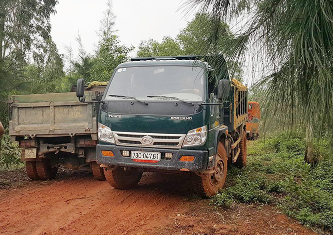 Xe ô tô tải vô tư ra vào chở cát trộm tại khu vực Bàu Bàng, xã Lý Trạch.