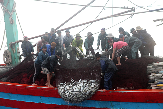 Tàu cá của ngư dân Quảng Bình đang đánh bắt ở Hoàng Sa, Trường Sa.