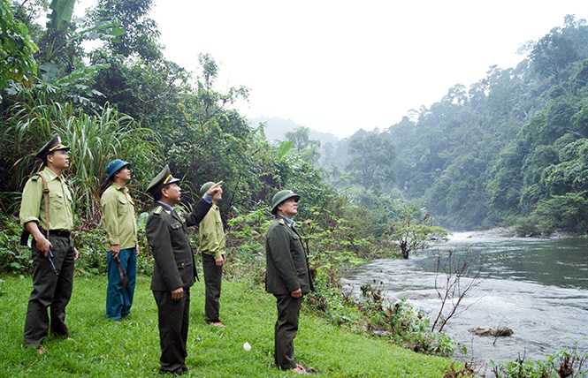 Lực lượng chức năng tăng cường bảo vệ tài nguyên rừng ở khu vực Động Châu-khe Nước Trong.