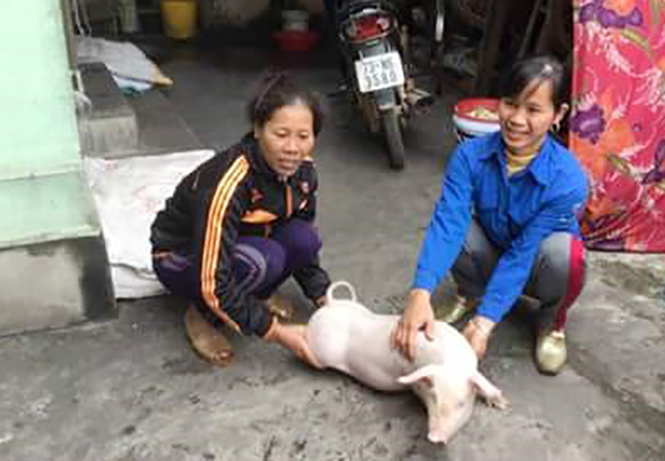 Chị Thanh bàn giao lợn giống F2 cho hộ nghèo khác trong chi hội.