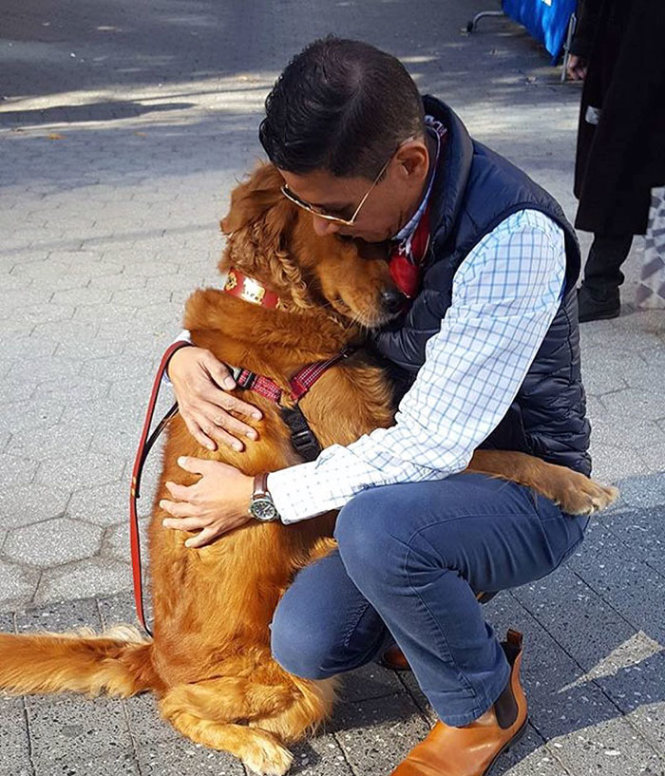  Louboutina - chú chó ôm nổi tiếng với hơn 58.000 người theo dõi trên Instagram