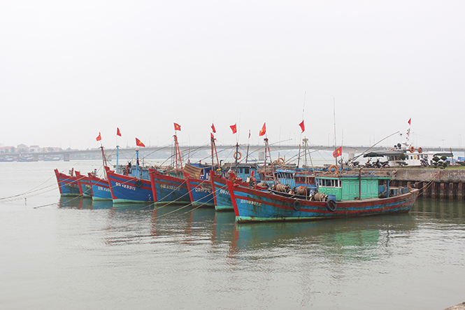 Tàu cá của ngư dân xã Quang Phú neo đậu trên sông Nhật Lệ chuẩn bị cho những chuyến đi biển mới.
