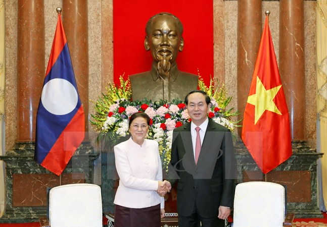 Chủ tịch nước Trần Đại Quang tiếp Chủ tịch Quốc hội nước Cộng hòa Dân chủ Nhân dân Lào Pany Yathotou. (Ảnh: Nhan Sáng/TTXVN)