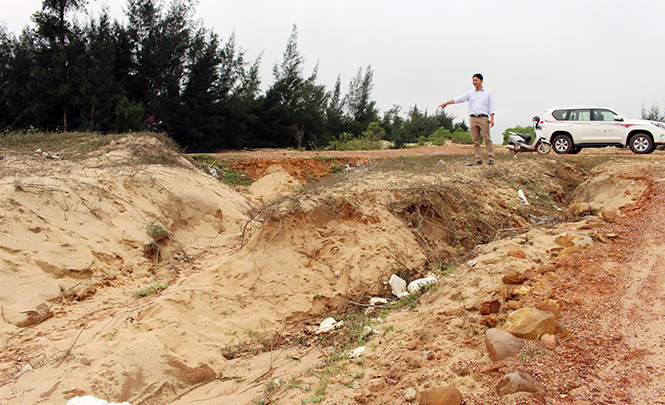 Tình trạng sạt lở tại bờ biển xã Quảng Hưng (Quảng Trạch) ngày càng nghiêm trọng.