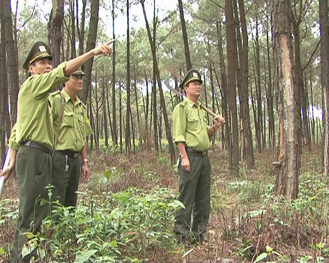 Lực lượng Kiểm lâm kiểm tra PCCCR ở khu vực rừng trồng phía tây TP. Đồng Hới trước khi bước vào mùa khô.