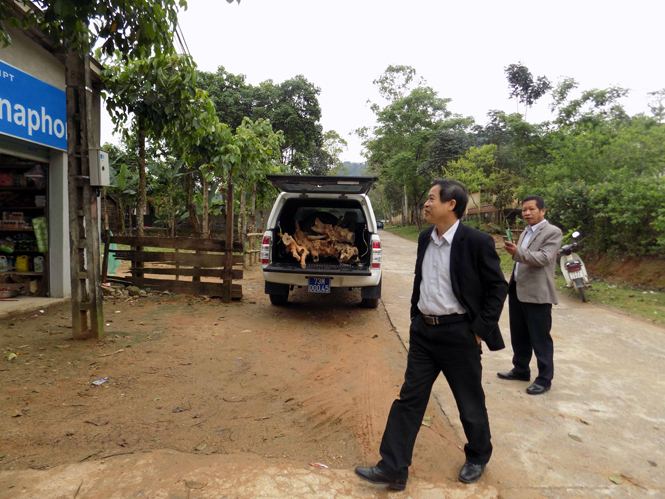 Chiếc xe biển số xanh của Trung tâm y tế huyện Tuyên Hóa dùng chở gỗ Hương giáng trái phép.