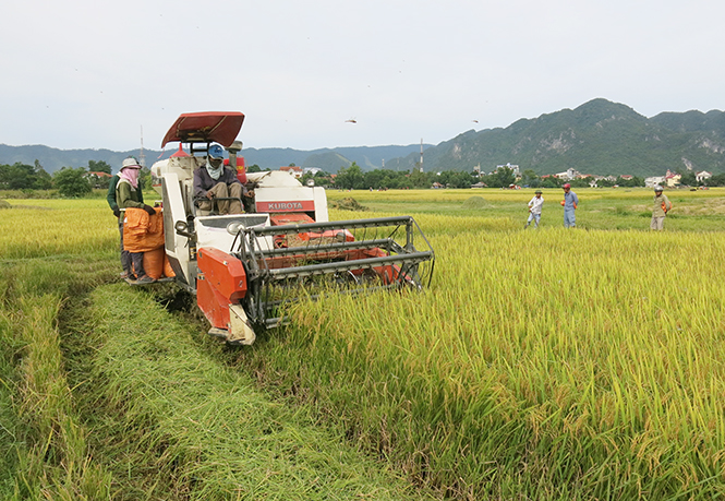 Nông dân xã Yên Hóa đưa cơ giới hóa vào sản xuất nông nghiệp.