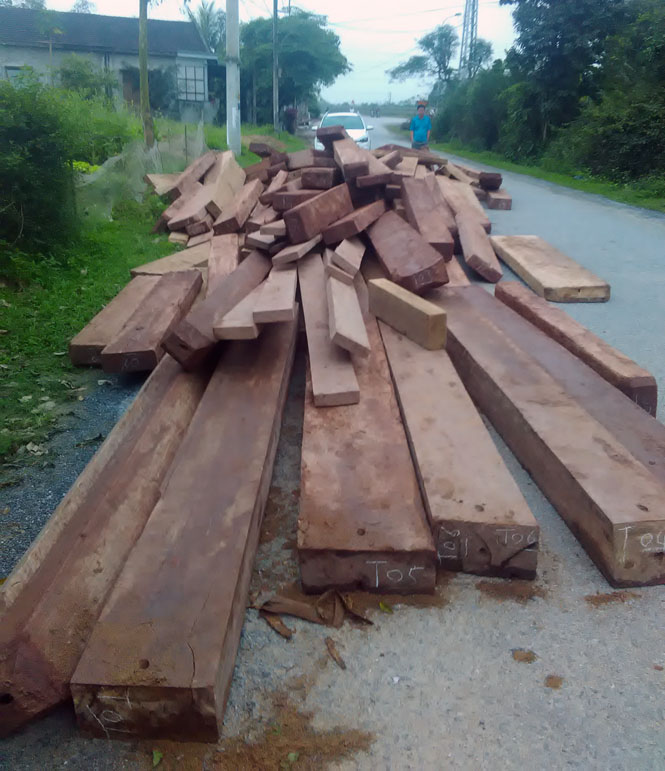 Số gỗ lậu được các lực lượng chức năng ở Tuyên Hoá phát hiện, xử lý đầu năm 2017.  