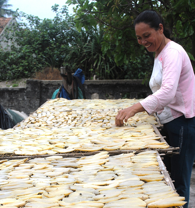 Khoai deo Hải Ninh-Quảng Ninh được kiểm tra chất lượng trước khi ra thị trường.
