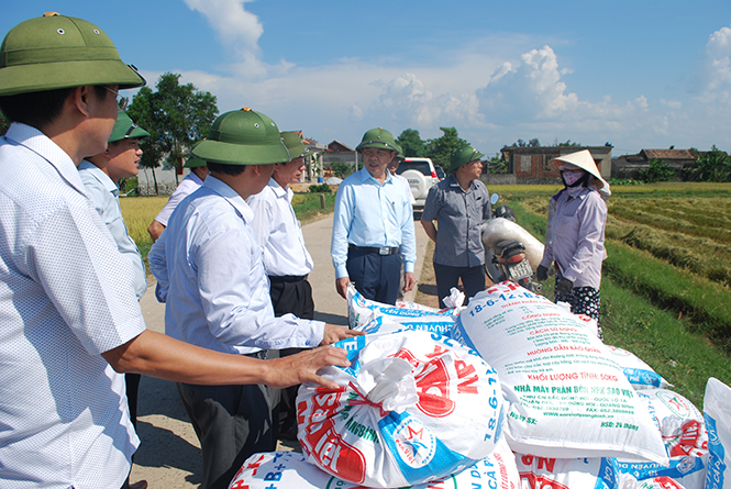 Đồng chí Chủ tịch UBND tỉnh Nguyễn Hữu Hoài thăm hỏi bà con nông dân huyện Quảng Ninh đang thu hoạch lúa đông-xuân.