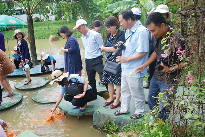  Đoàn đại biểu hội thảo thăm khu du lịch sinh thái Yang Bay.