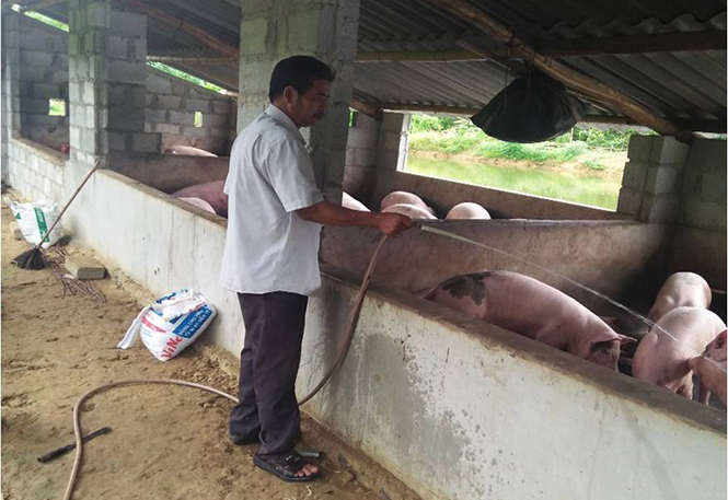  Mô hình chăn nuôi lợn của gia đình Hồ Nhanh