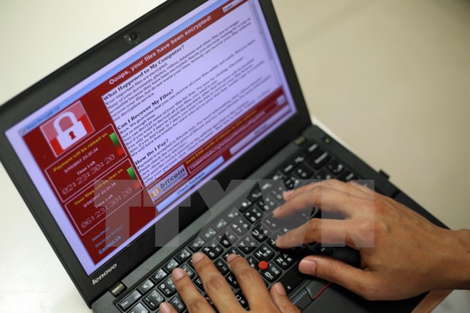 Một lập trình viên đưa ra mẫu của một vụ tấn công mạng 'tổng tiến' trên máy tính cá nhân tại Đài Bắc, Đài Loan. (Nguồn: EPA/TTXVN)