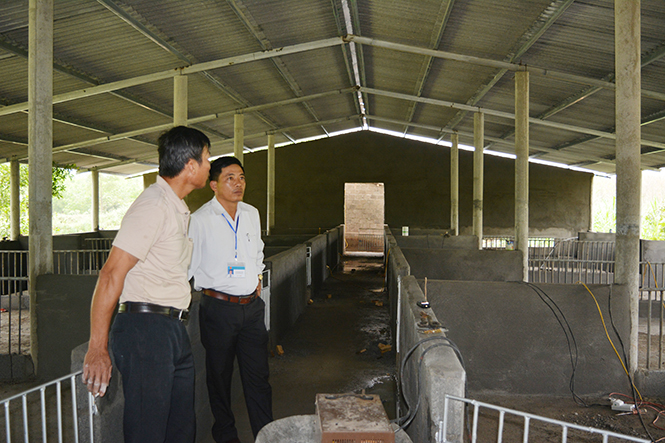  Đầu tư xây dựng thêm chuồng trại để chăn nuôi là tín hiệu khả quan từ các trang trại vùng gò đồi trên địa bàn huyện Quảng Ninh.