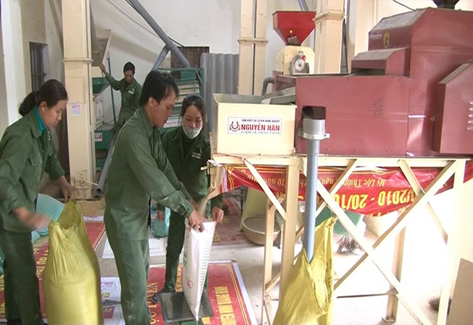 Dây chuyền xay xát lúa gạo được đầu tư hiện đại ở HTX Mỹ Lộc Thượng, xã An Thủy.