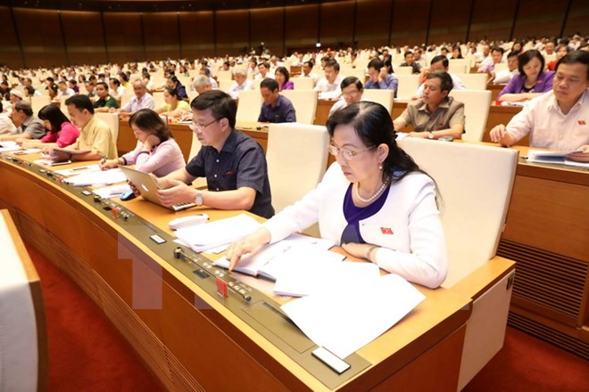 Đại biểu Quốc hội tỉnh Hải Dương biểu quyết thông qua Luật cảnh vệ. (Ảnh: Phương Hoa/TTXVN)