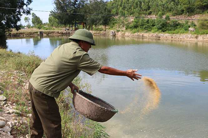 Mô hình chăn nuôi tổng hợp của CCB Tưởng Văn Phán, xã Quảng Phú, huyện Quảng Trạch đạt hiệu quả kinh tế cao.