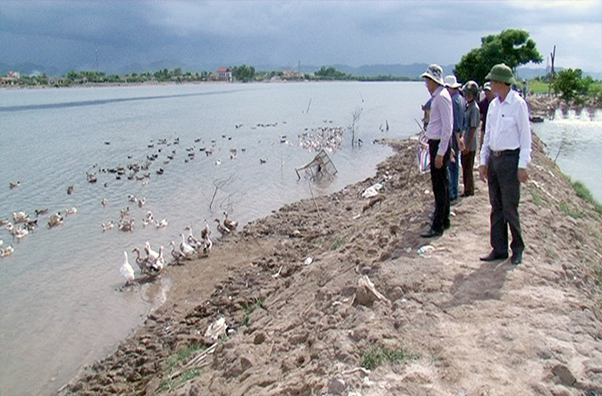 Cán bộ khuyến nông huyện Quảng Trạch tham quan mô hình nuôi vịt biển Đại Xuyên 15 của hộ gia đình anh Nguyễn Văn Huệ ở xã Quảng Thanh.