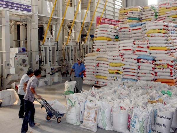 Chế biến gạo xuất khẩu tại Xí nghiệp Chế biến lương thực cao cấp Tân Túc (huyện Bình Chánh). (Ảnh: Đình Huệ/TTXVN)