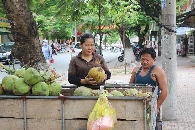 Hai vợ chồng Vũ- Hà với công việc bán dừa thường ngày tại chợ Đồng Hới.