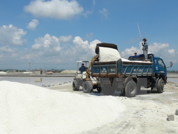 Vận chuyển muối đi tiêu thụ tại Xí nghiệp Muối xuất khẩu Hòn Khói. (Ảnh: Nguyên Lý/TTXVN)