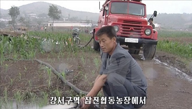 Người dân Triều Tiên bơm nước vào những cánh đồng khô hạn ngày 26-6. (nguồn: YONHAP/TTXVN)