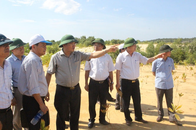 Đồng chí Lê Minh Ngân kiểm tra công tác cải tạo, phục hồi môi trường các dự án khai thác Titan trên địa bàn huyện Lệ Thủy.