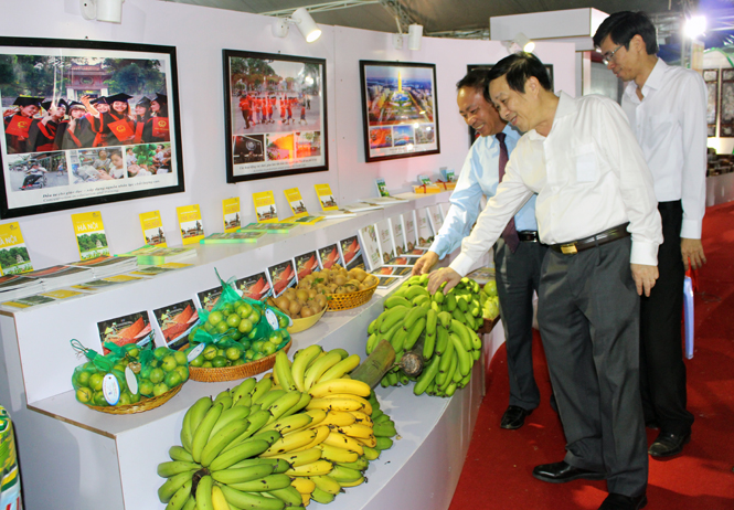 Các mặt hàng trái cây được trưng bày tại hội chợ.