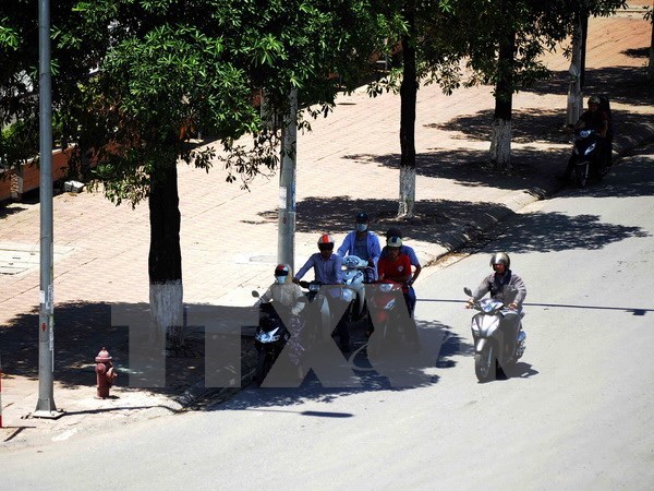 Người dân tại Hà Nội tranh thủ nghỉ ngơi dưới những gốc cây, gầm cầu vượt để tránh nắng nóng. (Ảnh: Quang Quyết/TTXVN)