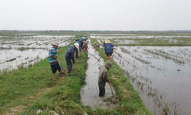 THT sản xuất nông nghiệp thị xã Ba Đồn ra quân khơi thông kênh mương nội đồng chuẩn bị cho vụ sản xuất mới.