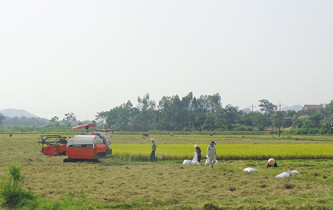 Nông dân xã nông thôn mới Mai Hoá, huyện Tuyên Hoá chú trọng đưa cơ giới hoá vào đồng ruộng.