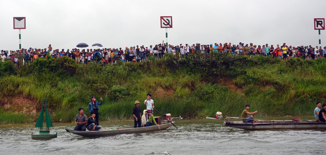 Đông đảo người dân tham gia cổ vũ các thuyền đua tranh tài