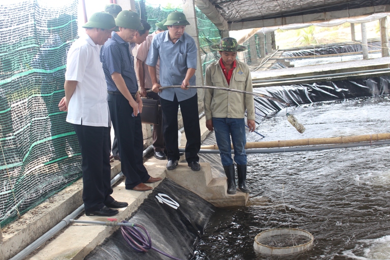 Đồng chí Bí thư Tỉnh uỷ Hoàng Đăng Quang thăm mô hình ươm giống của dự án nuôi tôm sạch công nghệ cao của Công ty cổ phần Đức Thắng