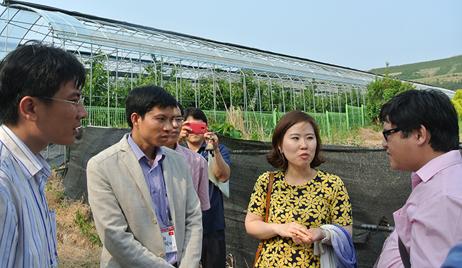 Cựu đội viên Hà Ngọc Thành, nguyên PCT UBND xã Yên Hóa (đứng thứ 2 từ trái qua) đang học tập các mô hình nông nghiệp ở nước Hàn Quốc.