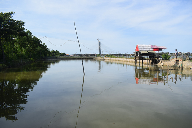 Các hộ dân Phú Hải phát triển nghề nuôi thủy sản bên sông Nhật Lệ.
