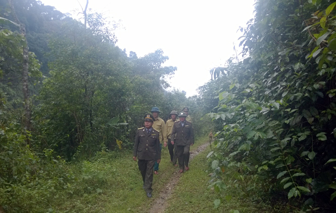Lực lượng Kiểm lâm huyện Lệ Thủy tuần tra bảo vệ Khu bảo tồn thiên nhiên Động Châu-Nước Trong.