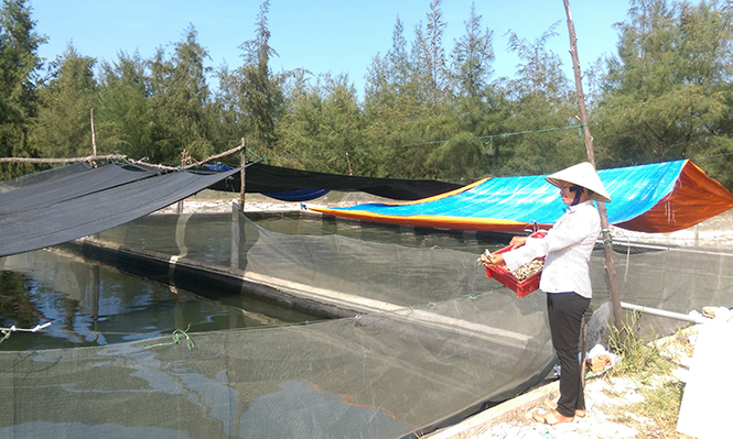 Thực hiện nghị quyết của HĐND huyện về phát triển kinh tế, người dân Lệ Thủy mở rộng diện tích nuôi trồng thủy sản.