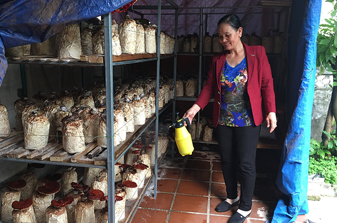 Mô hình trồng nấm đã giúp nhiều chị em ở xã Hải Trạch có thêm nguồn thu nhập, cải thiện cuộc sống.
