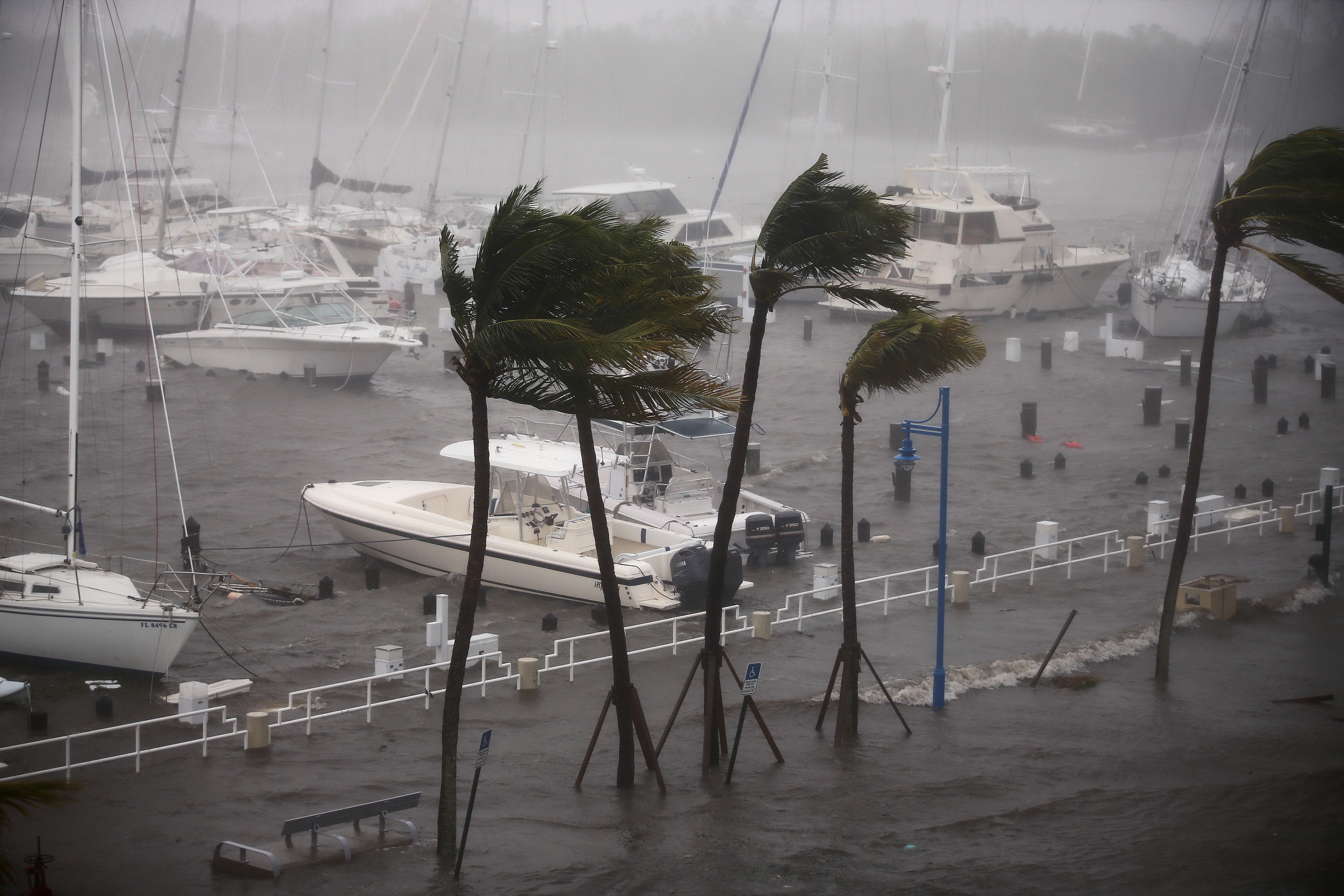  Gió bão càn quét ở khu cảng Coconut Grove thuộc thành phố Miami, bang Florida - Ảnh: REUTERS