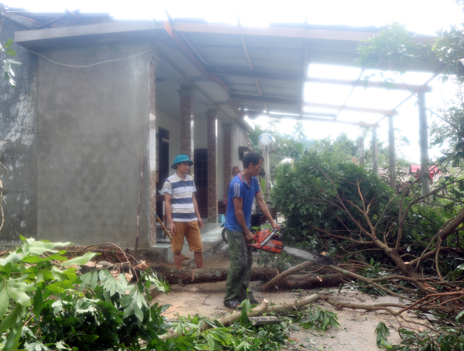 Các hộ dân Tuyên Hoá tiến hành chặt tỉa cây xanh bị gãy đổ sau bão số 10.