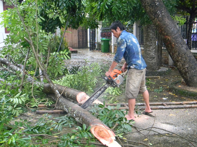 Người dân Tuyên Hóa thu dọn cây bị gãy, đổ do mưa bão.