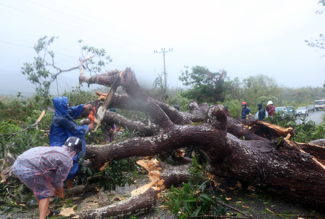 Nhân dân Tuyên Hoá giải phóng ách tắc giao thông sau bão số 10.