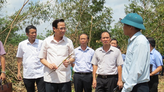 Bộ trưởng Đào Ngọc Dung kiểm tra và thăm các hộ dân trồng cao su ở xã Phú Định (Bố Trạch) bị thiệt hại nặng do bão số 10 gây ra