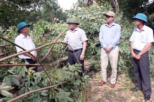 Đồng chí Lê Minh Ngân, Phó Chủ tịch UBND tỉnh kiểm tra công tác khắc phục hậu quả sau bão tại Công ty CP Lệ Ninh.