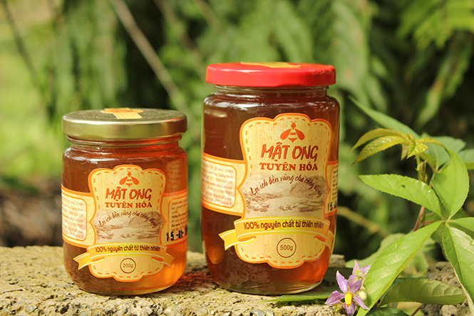 Sản phẩm “Mật ong Tuyên Hoá” đã trở thành thương hiệu mạnh được thị trường tin dùng.