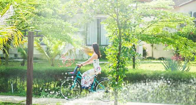 Đến với Bảo Ninh Beach Resort, du khách sẽ được hòa mình vào thiên nhiên yên bình, xanh mát.